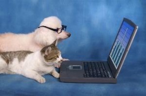 cat_dog_computer-thumb-320x212-27493